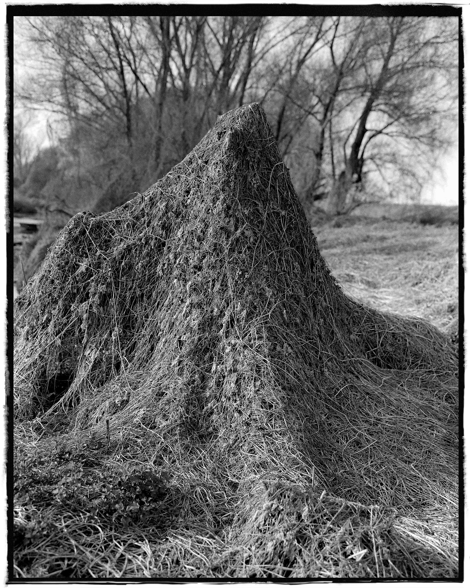 A mound of hay in a winter field.
